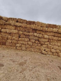 تبن مجروش • تبن كبس • ابو غريب