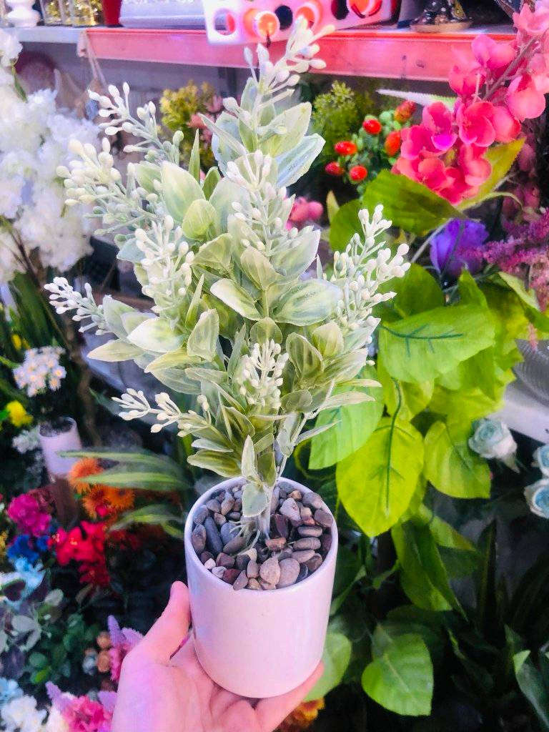 گوڵی دەستکرد وا جوان نەبێ مەیکڕە بە باشترین کوالیتی دروستکراوە هەموو تەڵەب خاس و دەستکرد تایبەت خۆمانن
ئێستا بەردەستە 

ناونیشان سەیدسادق نزیک پردی قەرزاران یان نزیک مزگەوتی ئەبوبەکری سدیق


**إذا كنت صاحب هذا الإعلان وتريد حذفه لأي سبب، رجاءا أرسل رسالة إلى الدعم الفني**