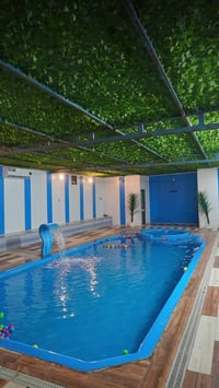 مزرعة النخيل الثانية vip  ، للحجز والاستفسار مراسلة الصفحة او الاتصال ...