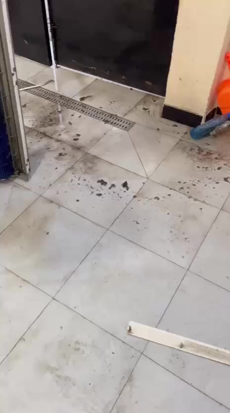 مع الضمان ***********
