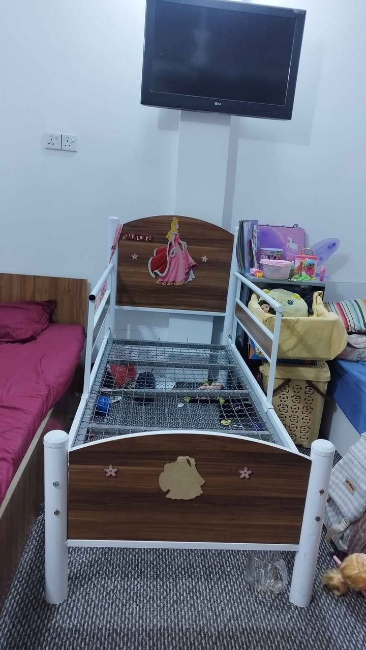 جربايه للبيع مكاني كربلاء حي الاسره سعر ٤٠ الله شاهد اخذتها ٩٠ للاتصال ‏‪0773 371 6750‬‏ كربلاء, العراق
