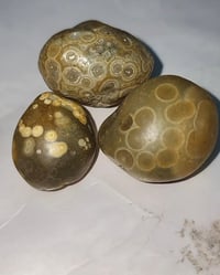 ملاكط • العدد مفتوح • راسلني