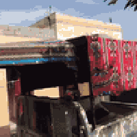 سقيفة مال ستوته • نايلون اصلي • كرمه بني سعيد