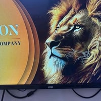 ستلايت ليون • قنوات مشفرة • كربلاء حي العامل