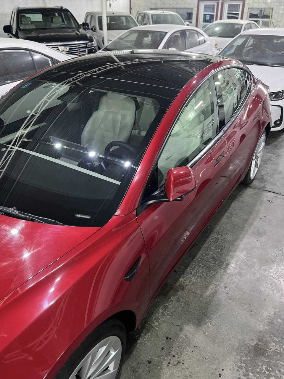 سلام عليكم
تسلا مودل 3 تك ماطور 
موديل 2023
ماشيه ٣٢ كيلو
حادث موضح جاملغ خلفي بدون ايرباك
داخل ابيض 
بانوراما على طول السياره
كشنات كهرباء وتدفئه
هيتر ستيرن
شاشه كبيره
حساسات ٣٦٠
فول مواصفات
سعر السياره ١٦٩ ورقه وبيها مجال للمشتري
***********
