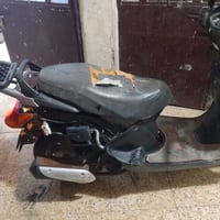 سبيسي • ياباني • نقص كافر