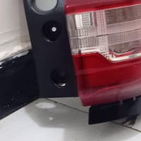 بكلايت ترفرس • فطر سطحي • كربلاء