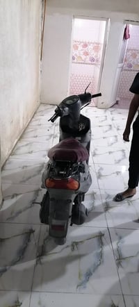 مطلوب • ازروف • شغال