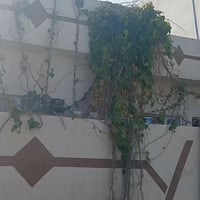 صياده • ١٥٠م • غرفتين