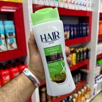 شامبو • موكب حسيني • الديوانية