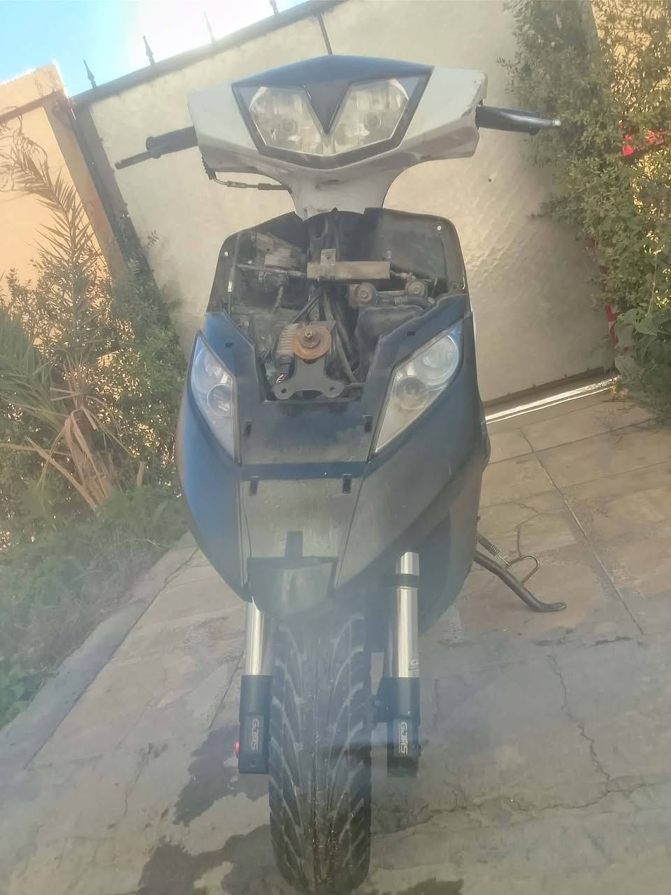 سلام عليكم دراجه ثعلب دراجه تخبل بيه كلجات رياضي بيه قطره بيه هواي شغلات بيه دبل امامي رياضي اصلي دراجه تخبل سعر ٤٥٠ وبيه مجال بسيط مكان حي جهاد رقم ***********
