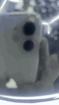 السلام عليكم ...ماكس عدل  للبيع نضيفه كلش . السعر خاص ***********
