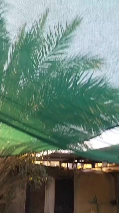 السلام عليكم باسكل سعره 40 مجال القبله حي الشهداء رقم 
***********
