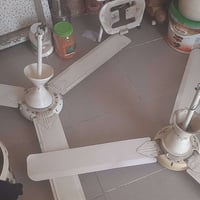 مبردة • بنكات • كلهن