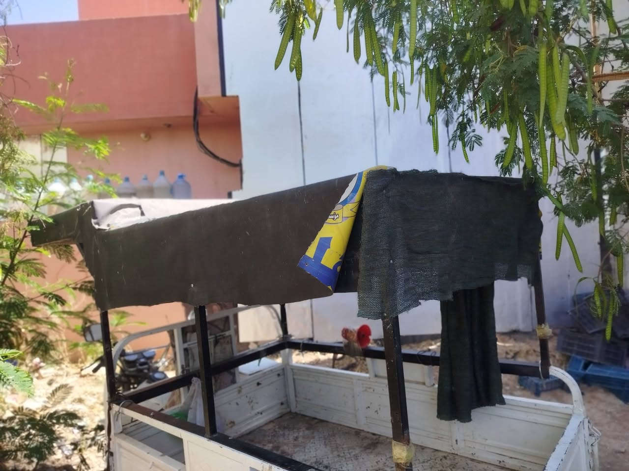 جنج للبيع سعره ٥٠الف


**إذا كنت صاحب هذا الإعلان وتريد حذفه لأي سبب، رجاءا أرسل رسالة إلى الدعم الفني**