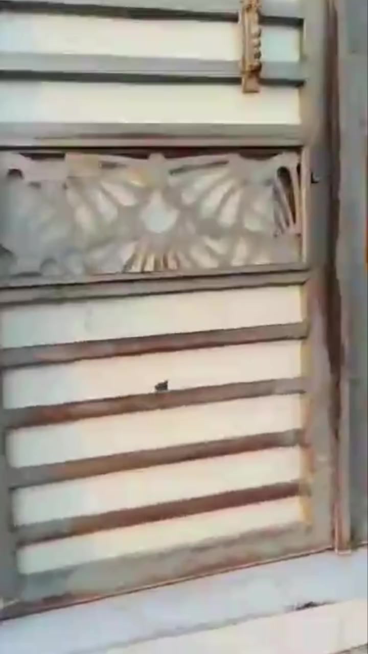 ياالله مشتمل للبيع سبع البور منطقة ٤٠٠٠ 
مساحة ١٠٠متر الواجهة ٥ ونزال ٢٠ 
يباع  نقد  او  قسط
 نقد السعر ٤٠  قسط ٤٥ مقدمة ٢٥ 
بي مجال  التعامل مع صاحب البيت مباشر
***********
