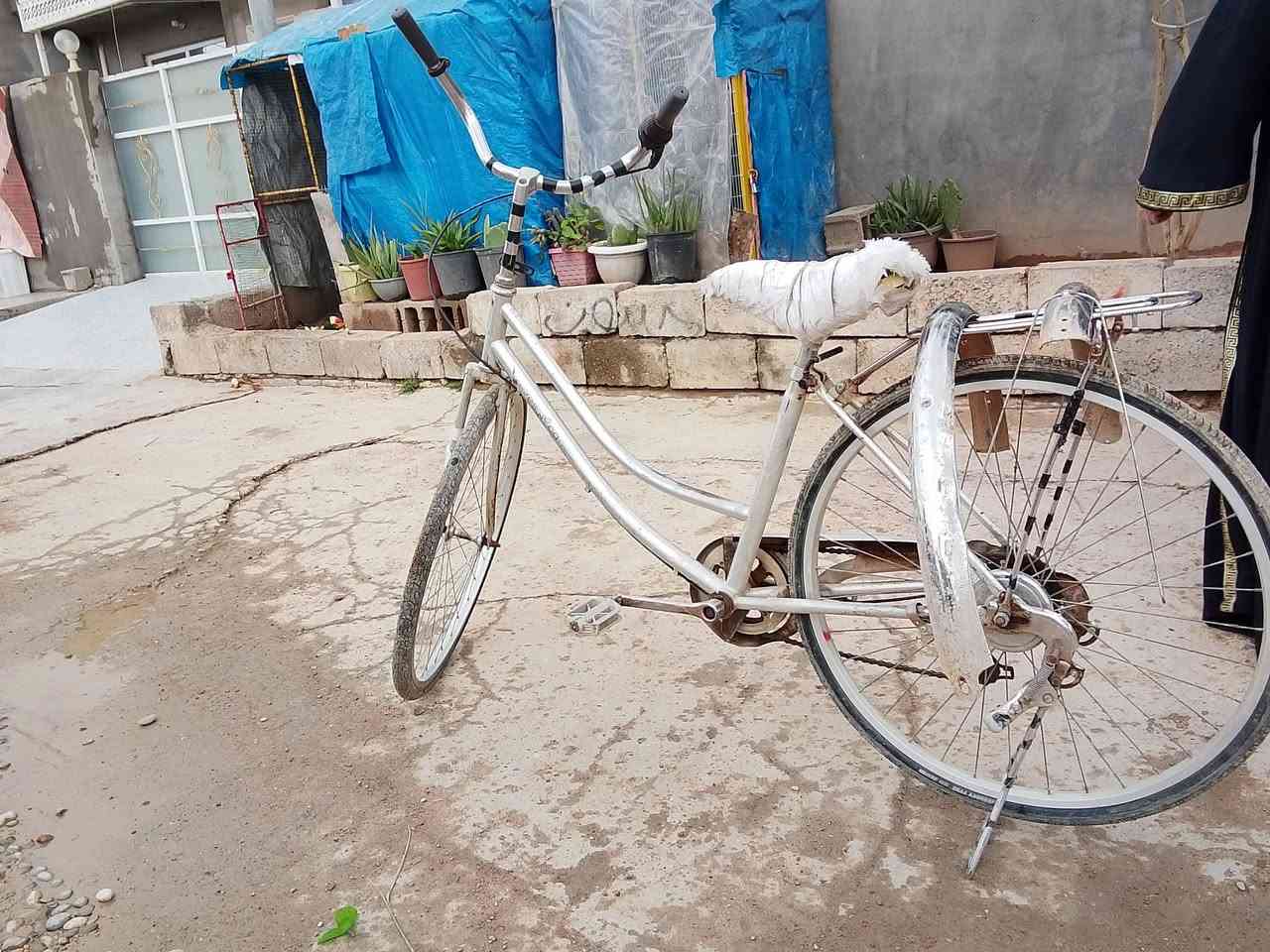 سلام عليكم بايسكل للبيع نظيف سعر 40وبي مجال مكان خانقين تعالو خاص


**إذا كنت صاحب هذا الإعلان وتريد حذفه لأي سبب، رجاءا أرسل رسالة إلى الدعم الفني**