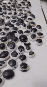 جمله_فقط ***********
