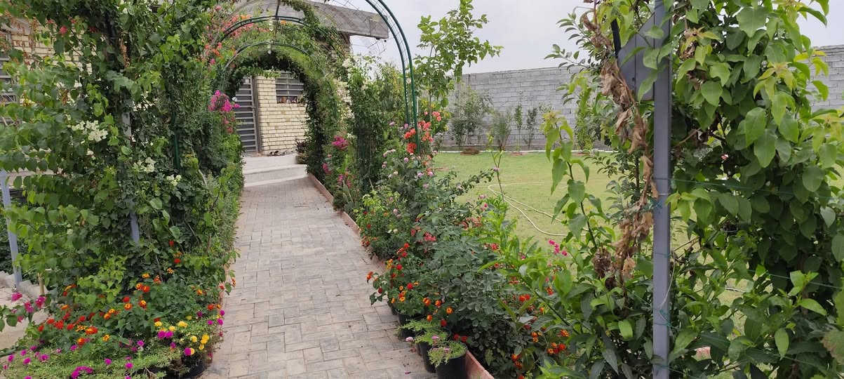 بيت للبيع المساحة الكلية ثلث دونم ( 833 متر مربع ) الواجهة 24.25 متر والنزال 34 متر
مساحة البناء 156 متر مربع سند 25 في التاجي/المصابيح
تم اكمال البناء سنة 2024 الشهر الخامس

بالنسبة للبيت: 
ثلاث غرف نوم 4×4 
مطبخ 6×4
استقبال 4×7
حمام 2.75×1.75 
حمام للضيوف 1.25×1.25
حولي داخلي 3×5
البيت مبني بطرق هندسية ومتانة قوية وهنالك تفاصيل للبناء موضحة في الفديوات

الكراج 20 متر يسع اربع سيارات

الحديقة كبيرة مزروعة ثيل بالكامل مع أنواع الزهور والحمضيات والنباتات المثمرة والنخيل وممر من الكراج الى باب الاستقبال بأقواس من الورود المتنوعة الألوان على طول السنة مع عريشة للعنب والنباتات المتسلقة

السطح شتايگر مع اربع مرازيب موزعة في كل ركن
البيت مصمم لعمل مشتملين معزولات بدرج خارجي في الطابق الثاني مستقبلا

سياج بلوك بارتفاع 3 متر 

بالنسبة للخدمات يوجد بوري ماء رئيسي 4 انج امام الباب
محولة كهرباء للفرع مشدودة وسيتم ربطها بالمحطة الرئيسية قريبا
تبليط جديد للشارع مع العلم ان عرض الشارع 8 متر 
سبتتنگ كبير

سعر البيع: 285 مليون مع مجال قليل
 للاستفسار اكثر : ***********
