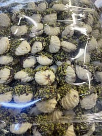 بقلاوة • بتي فور • حي الفلاح