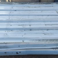 جينكو • قمرية حديد • ٣م