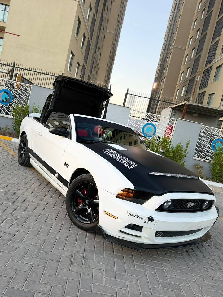 موستنك 2013تفاصيل داخل المنشور  ترهم قسط بعد الانتفاق مكاني بغداد الكرخ ***********
