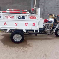 ستوته 2015 • كفاله عامه • اوراق اصولي