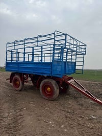 عربانه بلاديه • أسكندريه • الديوانية