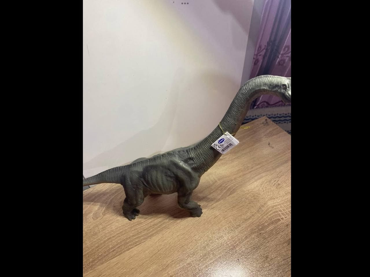 حيوانات وديناصورات اصلية
لايوجد توصيل


**إذا كنت صاحب هذا الإعلان وتريد حذفه لأي سبب، رجاءا أرسل رسالة إلى الدعم الفني**