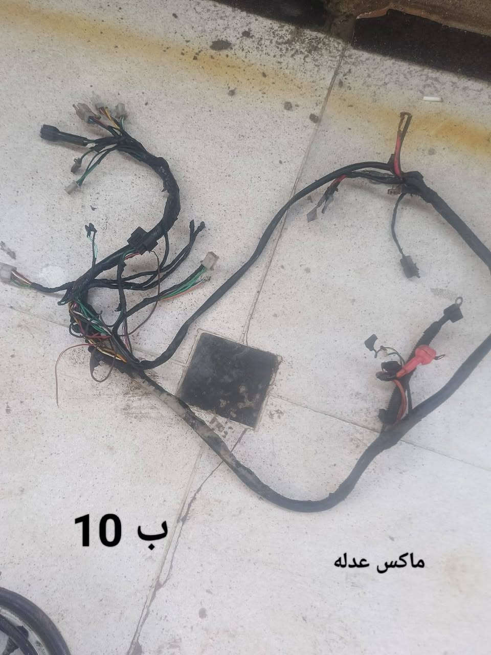 موجود غراض تسعه زروف وموجوده غراض منغولي وشاصي خمس ازروف يصير عله المنغولي وغراض ماكس موجودات شني تريد موجود مكاني معقل بصره البصرة, العراق


**إذا كنت صاحب هذا الإعلان وتريد حذفه لأي سبب، رجاءا أرسل رسالة إلى الدعم الفني**
