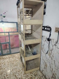 نجف • بيت • ١١٠م