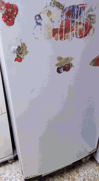 ثلاجه شغالة • باب ينشلع