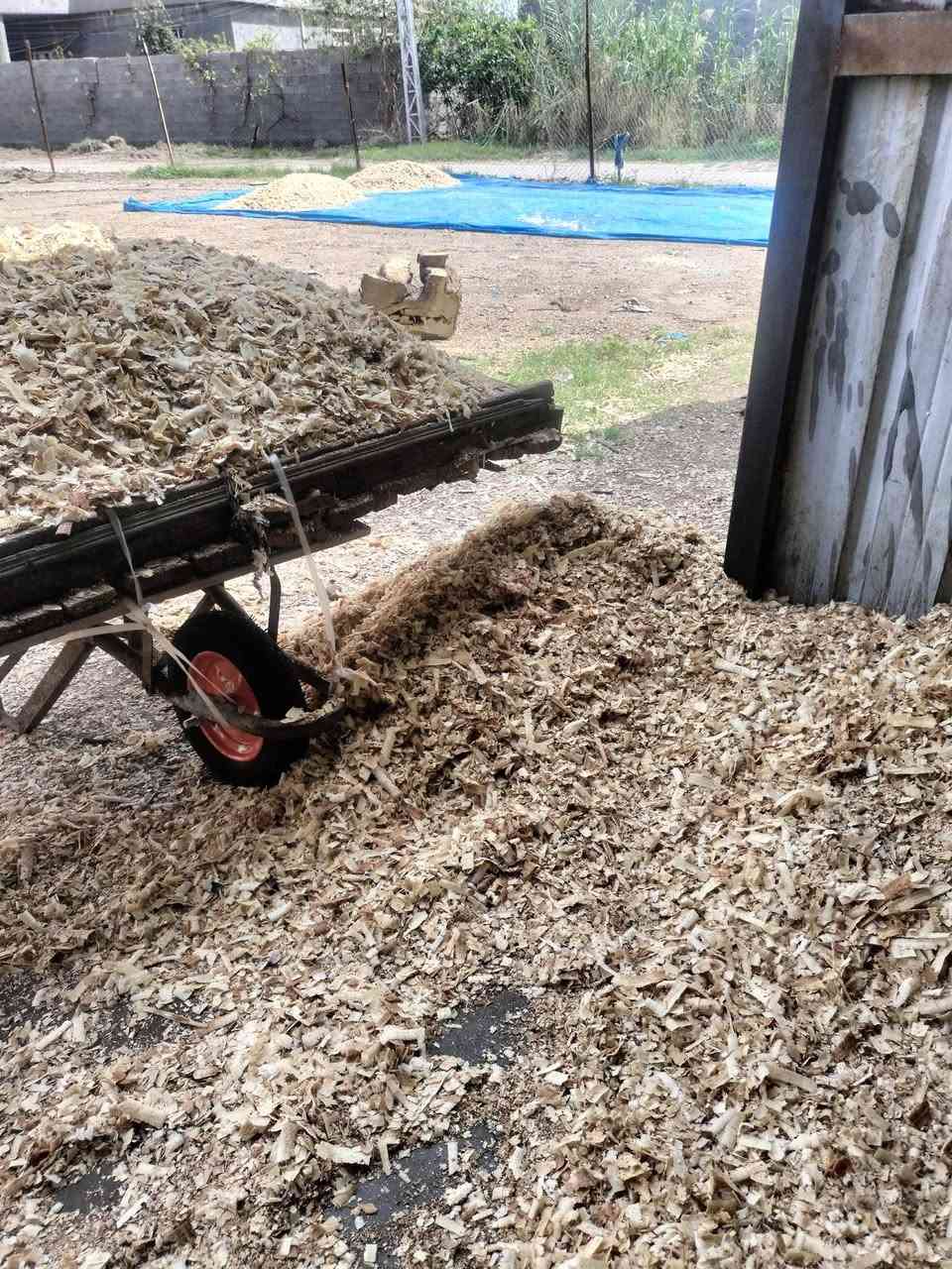 يوجد نشاره الحقول والمعامل الدجاج
وفحم ايضن وخشب بسعار مناسبه مستعدين التجهيز 
التواصل***********
***********
