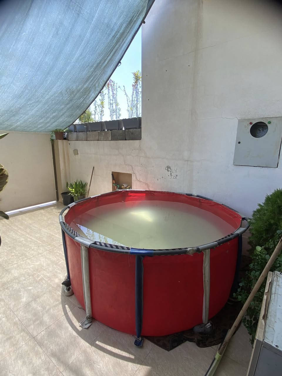 مسبح للبيع مستعجل
السعر 45الف


**إذا كنت صاحب هذا الإعلان وتريد حذفه لأي سبب، رجاءا أرسل رسالة إلى الدعم الفني**
