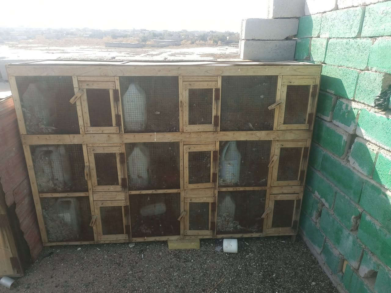 خانات مال طيرو جاهز مكاني القرنه ***********
