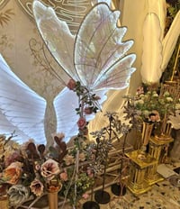 تم وصول الفراشات الشمسي والثلجي قياس ٤٠ سم ٦٠سم ٨٠ سم ١٠٠سم للستعلام خ...