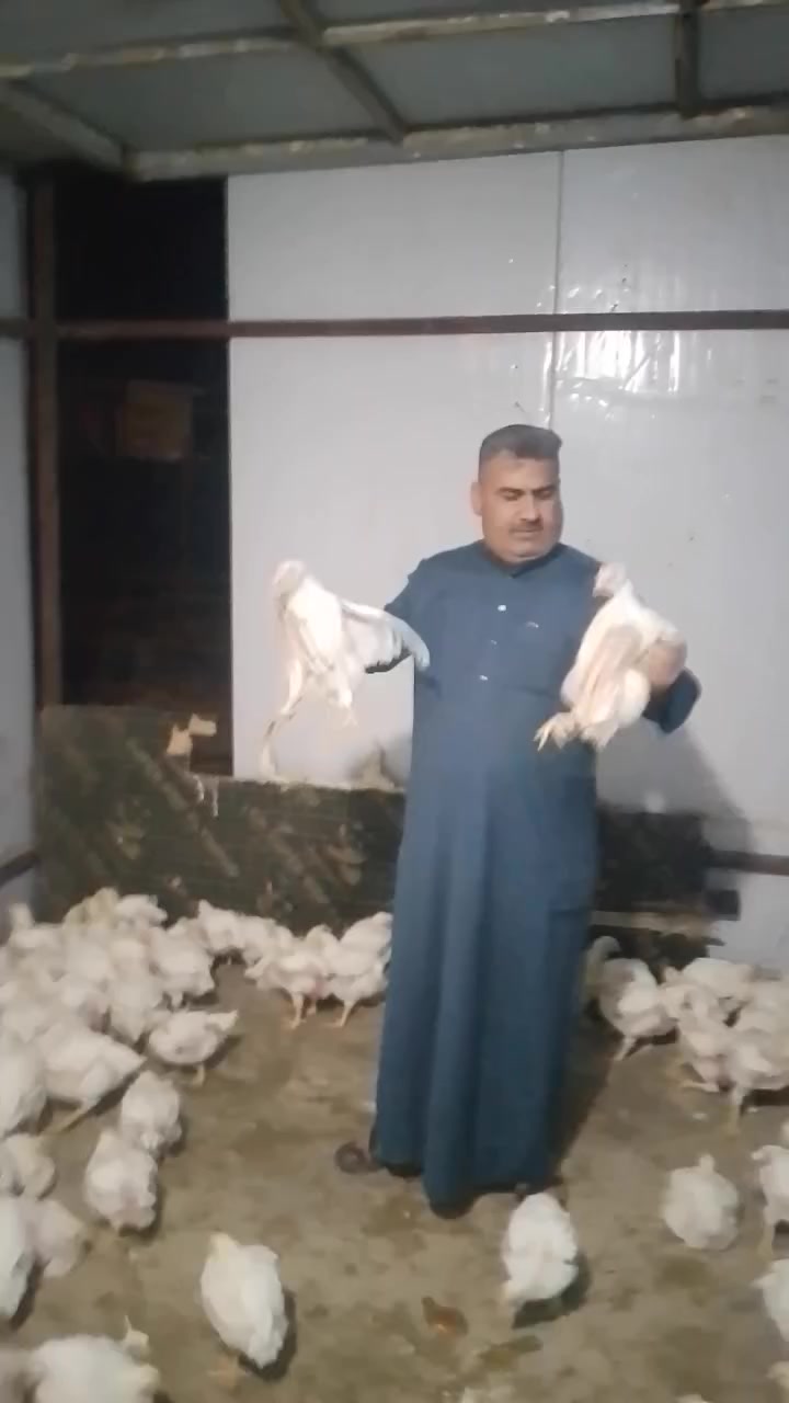 مطعم علي المفرجي
يرحب بالزبائن الاعزاء اهالي المهناوية الكرام 

دجاجة شوي محشي مع صينية تمن وانواع المرق السعر 5000 دينار فقط 

وتمن ومرق 1500 دينار

مخلمة لحم 1500 دينار 

مخلمة كبد 1500 دينار

والعروض مستمره

رقم الحجز ***********
