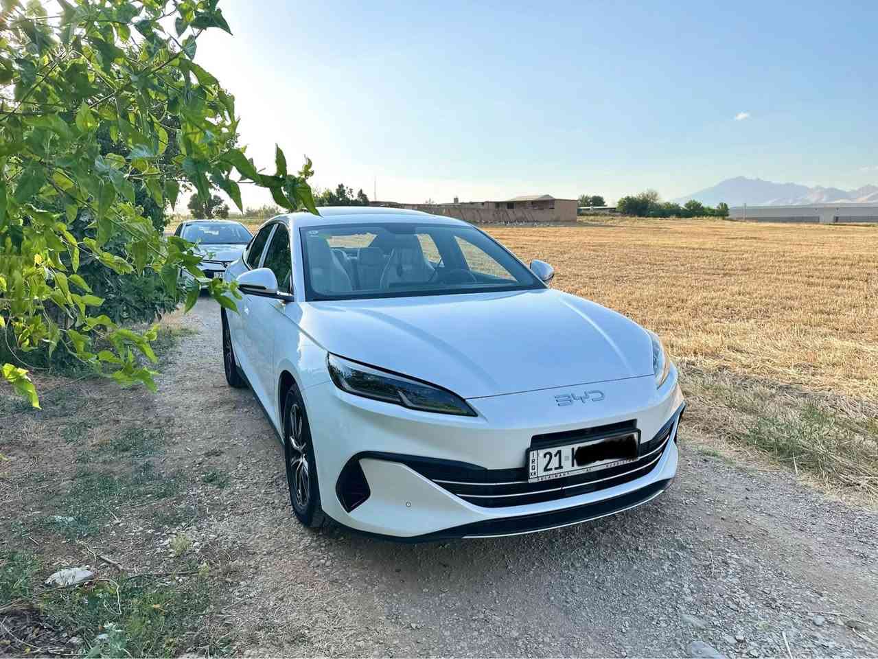 بی وای دی سێل 06 مۆدێل 2024 سەیارەکە تەنها 6هەزار کم رۆشتوە داعمی بۆ داعمی بەشەرت خالی پێوە نیە فول مواسەفات پانۆەراما پاتری گەورە 120کم کامێرا 360 رادار *********** السليمانية, العراق
