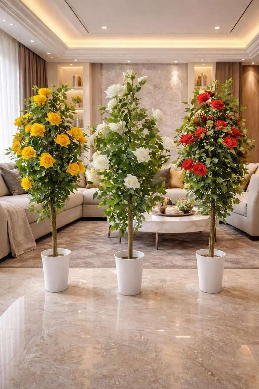 #أشجار #ورود #زينة
السلام عليكم
متوفر ورود زينه واشجار اصطناعيه منزليه ومكتبيه
الوان وااحجام مختلفه
اسعار مناسبه جدا عن السوق
التوصيل مجاني لحد باب البيت
متوفر حتى في أيام العيد


**إذا كنت صاحب هذا الإعلان وتريد حذفه لأي سبب، رجاءا أرسل رسالة إلى الدعم الفني**