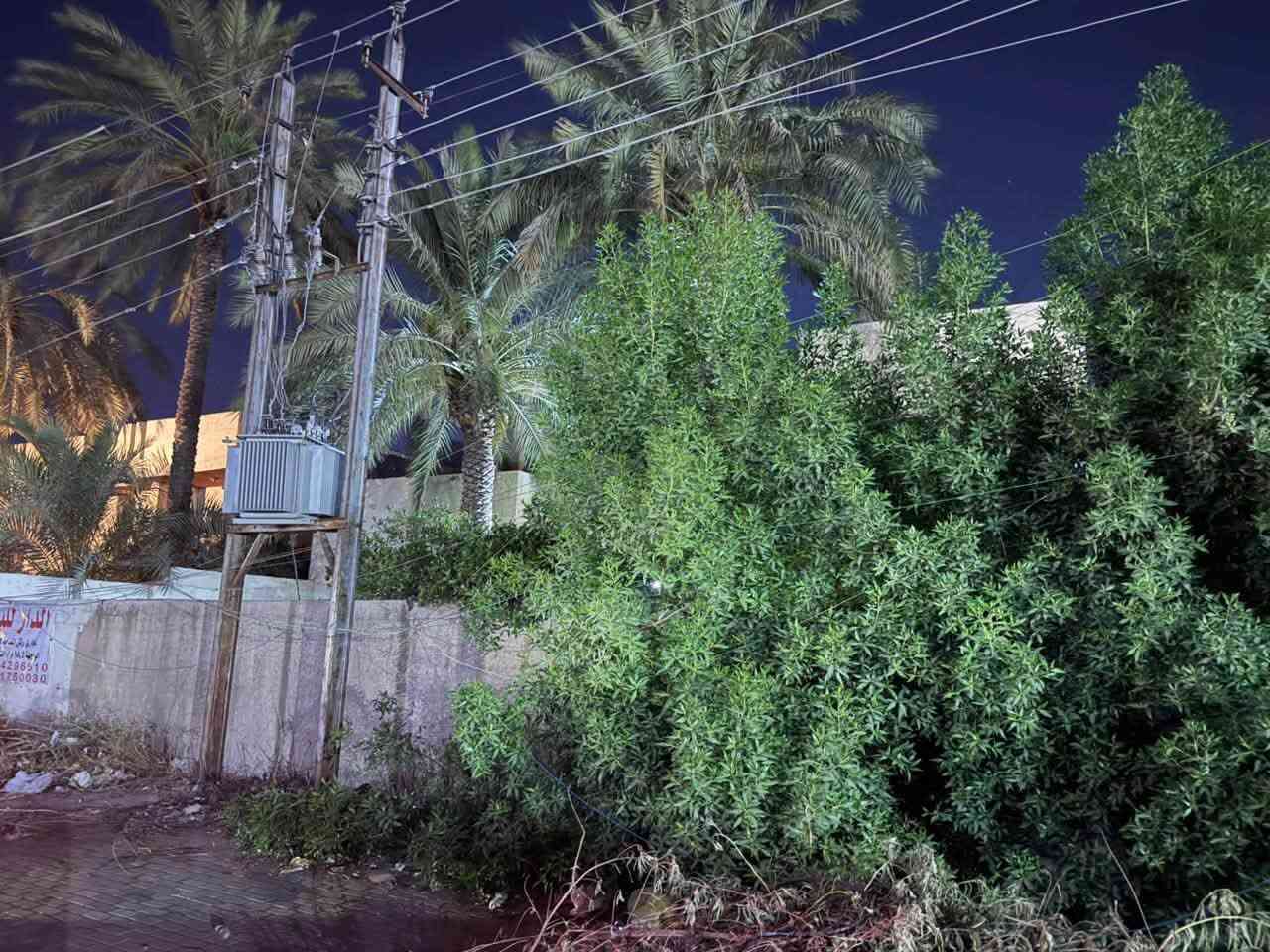 للبيع دار في حي الاطباء التجاري 
قرب جامع فخري ابراهيم شنشل 
المساحة 404 ركن مسلح نضيف 
الواجهة 18.5 ع الشارع التجاري  والواجهة ع الفرع 22 متر 
للبيع كامل او نصفة 
للاستفسار الاتصال ع الرقم 
***********
