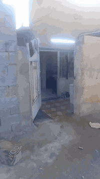 السلام عليكم مشتمل للبيع وره البانزيخانه حي العروبه بشارع البانزيخانه بالضبط م١٠٠ زراعي خدمات كامله السعر 30 وبي مجال الاستفسار ***********
