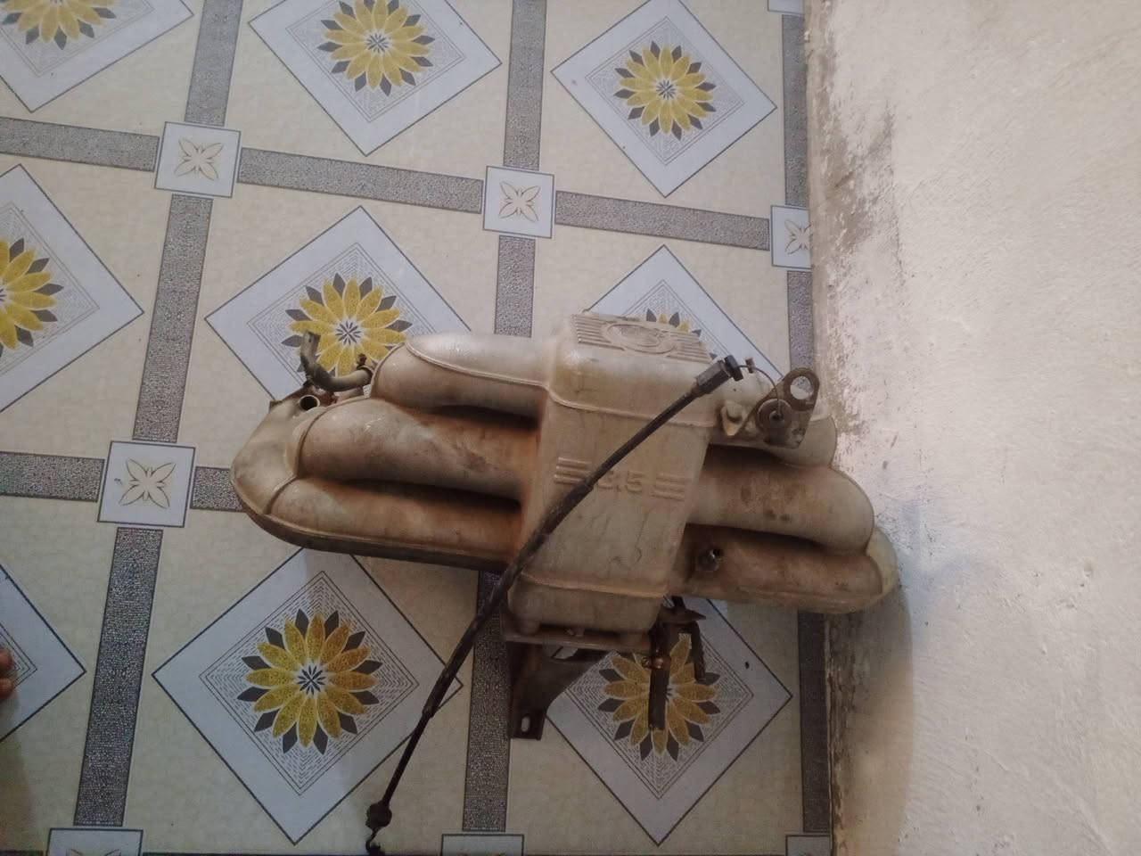 سلام عليكم جميعا خوان نواعم شلع قيم بل يرضي الله عنوان بغداد الدركه كامله جوزه وشفت وليده حته سويج ويها العنوان بغداد ***********
