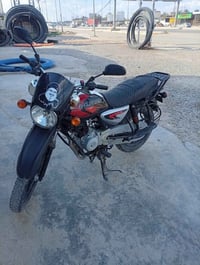 بوكسر • ٢١ • جبلي