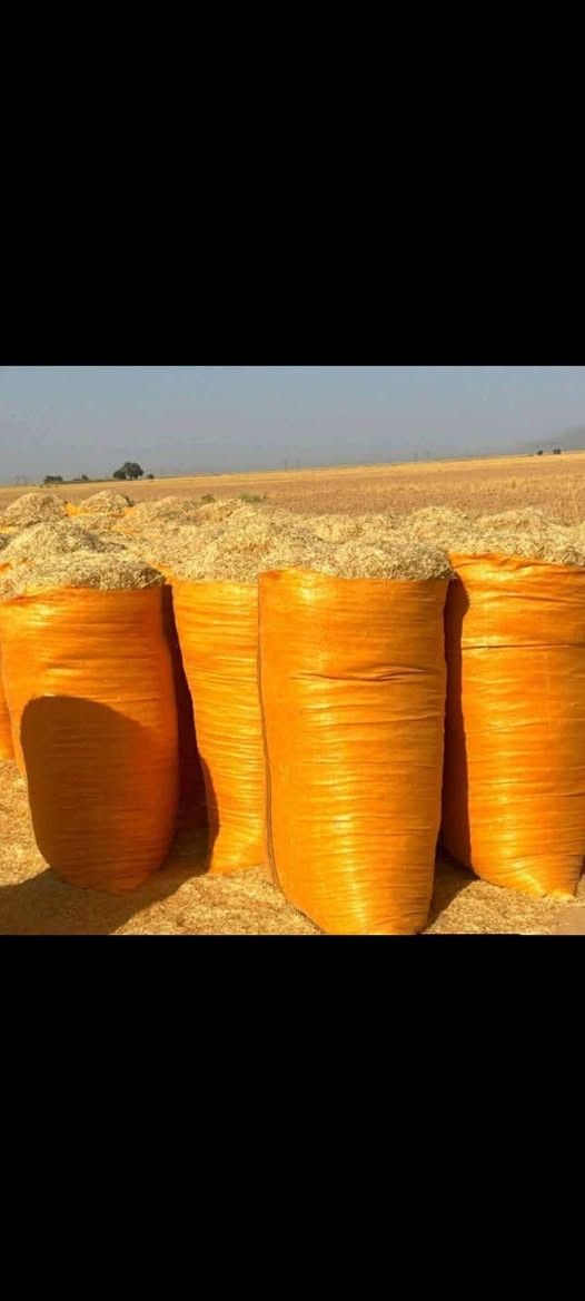 السلام عليكم تبن لبيع بنسب لسعار لرايد تبن يتصل *********** وتوصيل بابل ديوانيه  وكربلاه وبغداد
