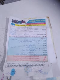 موديل 19 • أوراق أصلية • الزبير الشراي