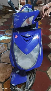 سكنس فحل • نوزل • سلف