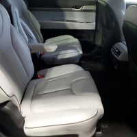 باليسايد SEL • ٢٠٢٥ • هايبرد