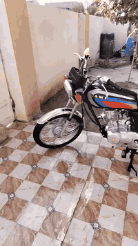 شنو اليوم 
نامه 27للبيع 
حجي الدراجه بعدها. زيرو 
مبدل دهن بس مرتين 
حجي فول شلعه ومعدل 
يعني خير من الله 
خروج قبل شهرين 
بيها اربع اوراق 
العنوان.     كنعان 
السعر بلاششششش ب 825 يعني فول 
رقم الهاتف     ***********
