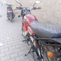 بوكسر ٢٠١٧ • ١٥٠ سي سي • اوراق محولة