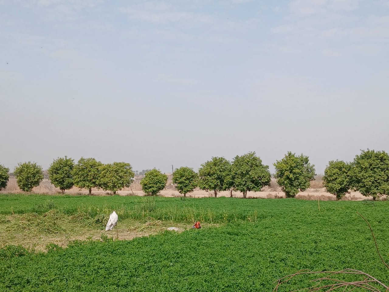 السلام عليكم
ارض زراعية للبيع اطلالة على الشط بمساحة ٧ دونم ونص مع بيت مبني غرفتين وصالة ومضيف في منطقة المدائن صطيح 
للاستفسار على الرقم ***********
